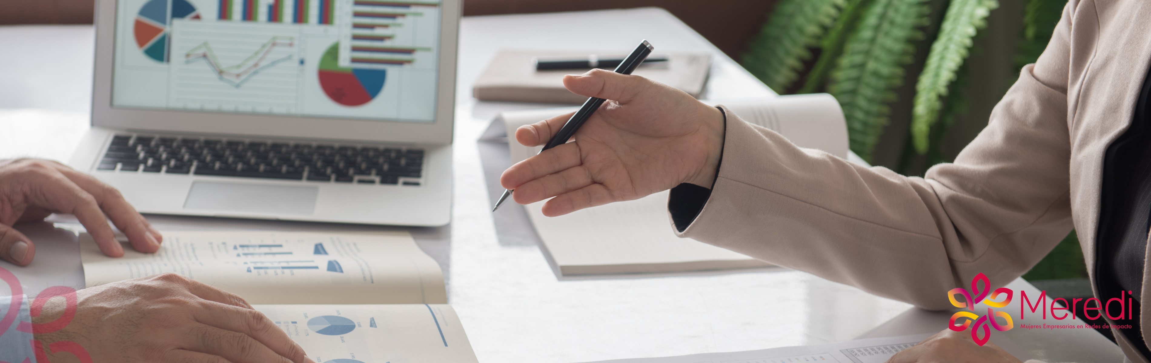 Contabilidad, ERP y estructura para crecer. ¡Contáctanos!